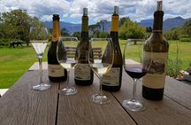 Customized Private Wine Tour 