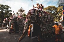 August Kandy Festive Tour