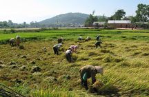 2Days tour to Nha trang from Dalat