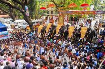 Kerala's Virgin, Prosperous Villages 1 Day Tour Free Pick up&Drop