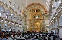Kerala's Virgin, Prosperous Villages 1 Day Tour Free Pick up&Drop