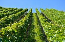 Historic Athens & Wine Tour in Nemea in 8hrs