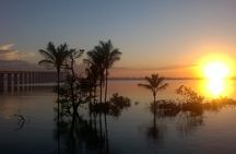 Amazon and Negro Rivers Experience with Night Exploration Tour