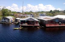 Amazon and Negro Rivers Experience with Night Exploration Tour