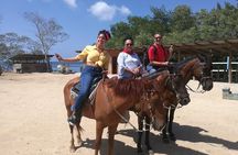 Horseback Riding & West Bay Beach