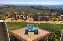 Paso Robles Wine Tour: We Drive Your Vehicle