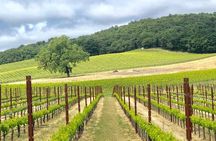 Paso Robles Wine Tour: We Drive Your Vehicle