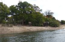 Chobe Full Day Trip