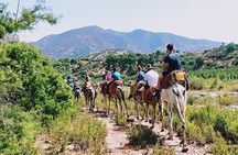 Marrakech to Atlas Mountains and 4 Valleys Day Trip