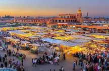 Private half day guided tour