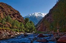 Private Day Trip Ourika valley 