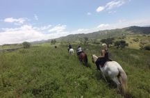 Horseback riding through the Sierras
