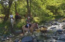 Horseback riding through the Sierras