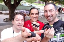 Tour in eBike Riserva Gola del Furlo and Tartufo