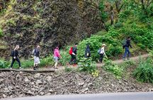 See Multnomah, two waterfalls & Vista House (Transport Included)