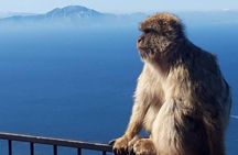 Gibraltar Sightseeing : Classic Rock Tour plus World War 2 Tunnels (Private)