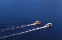 Moorilla Wine + Mona Art Day Trip