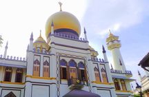 Private Full Day Singapore City Tour with Professional Tour Guide