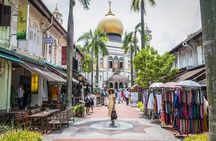 Private Full Day Singapore City Tour with Professional Tour Guide
