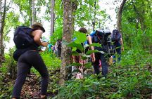 1 day private eco-trekking at Mae Sa Pok