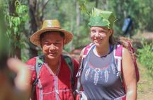 1 day private eco-trekking at Mae Sa Pok
