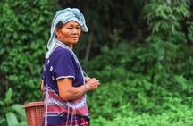 1 day private eco-trekking at Mae Sa Pok