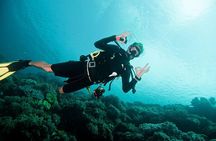 Nusa Penida Two Dives Trip for Certified Divers