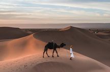 2 Days Desert Tour from Fes to Marrakech 