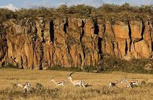 Day trip Hells gate Lake Naivasha best private safari