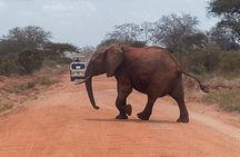 2 Days Taita Hills Game Sanctuary Saltlick Lodge
