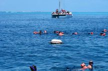 Amazing tour to the beauty Isla Mujeres with Snorkel and open bar