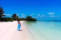 Isla Contoy Adventure Tour & Isla Mujeres from Playa del Carmen 