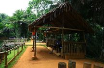 Magoroto Forest Reserve(3 Days) 