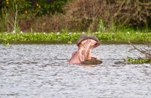 1 Day Lake Naivasha & Hell's Gate National Park Tour