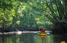 Phang Nga Bay Starlight by John Gray Sea Canoe