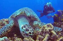 Discover Scuba Diving