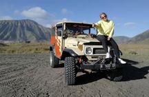 Bromo Sunrise Tour - Madakaripura Waterfall 2D1N Meeting Point Surabaya 