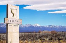 Uco Valley: Landscapes, organic wines and traditional flavors