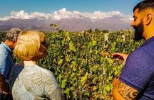 Uco Valley: Landscapes, organic wines and traditional flavors