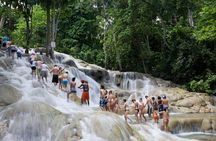 Combo Tour: Dunn's River Falls And Horse Back Riding