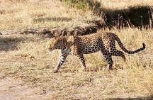 3 Days Masaai Mara Joining Safari