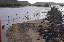 Curacao Beach and Hato Caves Tour