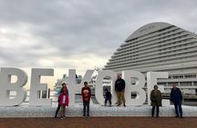 Kobe private tour from Osaka (Shore excursion available from Osaka or Kobe port)