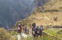  Colca 2 Days and 1 Night