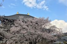 Nara private tour (Shore excursion available from Osaka or Kobe port)