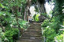 Bali Shaman,Palm Reading,& Spiritual