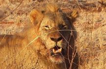 3 Days Mombasa, Taita Hills and Ngutuni Sanctuary Wildlife Safari