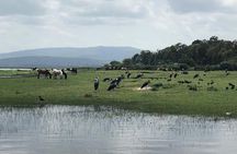 Addis City Tour & Crater Lakes excursions in Debreziet!