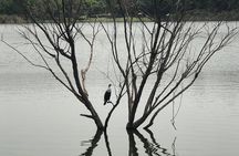 Addis City Tour & Crater Lakes excursions in Debreziet!