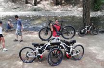 Explore Paphos forest with e-mountain bikes 